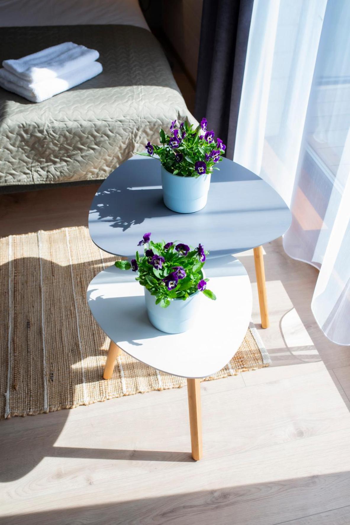 Hotel Soru Puhkemaja Exteriér fotografie